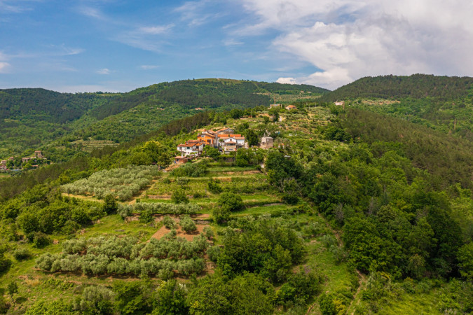 Belveder Motovun, Belveder Motovun - Ferienhaus mit beheiztem Pool, Pigini - Motovun, Istrien Livade