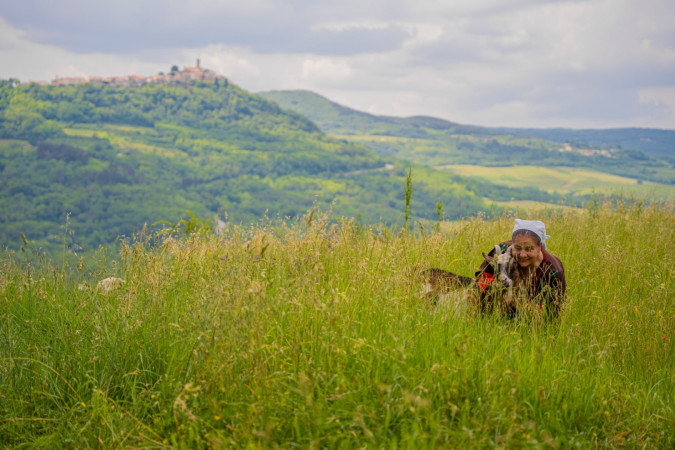 A unique experience with a view of Motovun, Belveder Motovun - holiday home with heated pool, Pigini - Motovun, Istria Livade