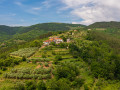 Exterior, Belveder Motovun - holiday home with heated pool, Pigini - Motovun, Istria Livade